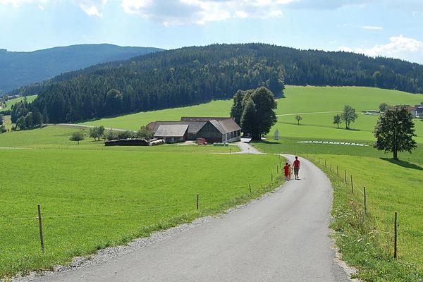 Birkfelder Gschaid – Bild 1 vergrößern