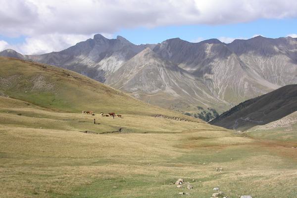 Col d’Allos – Bild 1 vergrößern