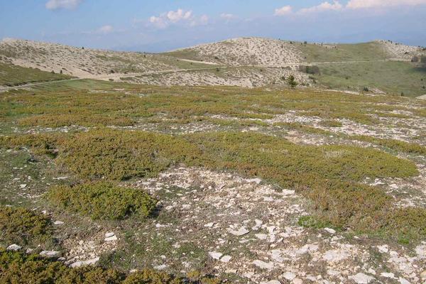 Pas de la Graille | 1.597 m | Saint-Étienne-les-Orgues  Les Richaud – Bild 1 vergrößern