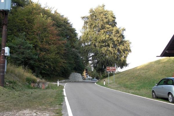 Passo Bordala | 1.255 m | Ronzo-Chienis  Bordala – Bild 1 vergrößern