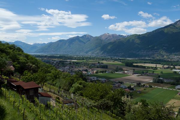 Passo Monte Ceneri  / Monte Ceneri – Bild 1 vergrößern